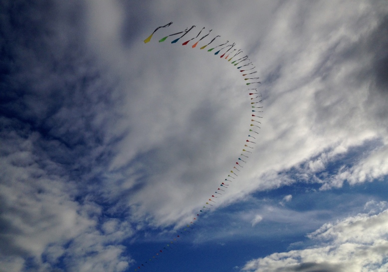 kites over wanaka
